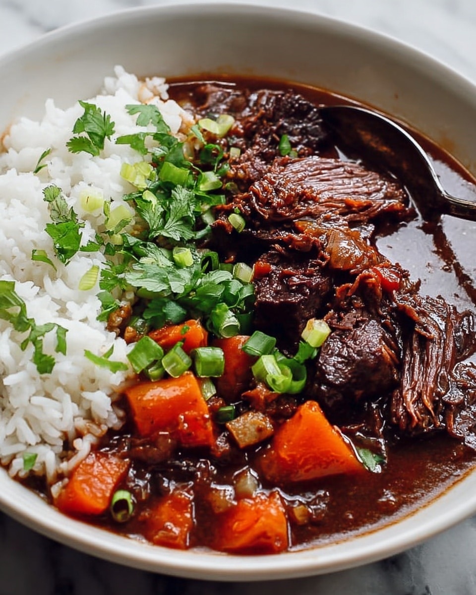 A white bowl filled with a layered dish featuring a base of white rice on one side, topped with chopped green onions. Next to the rice, there are thick pieces of dark brown, tender shredded beef resting in a rich, dark brown stew filled with small diced orange carrots and bits of onion. Fresh green cilantro leaves and chopped green onions are placed on top, adding a fresh contrast to the deep colors of the meat and sauce. A silver spoon is partially submerged in the stew on the right side of the bowl, all set on a white marbled surface. Photo taken with an iphone --ar 4:5 --v 7